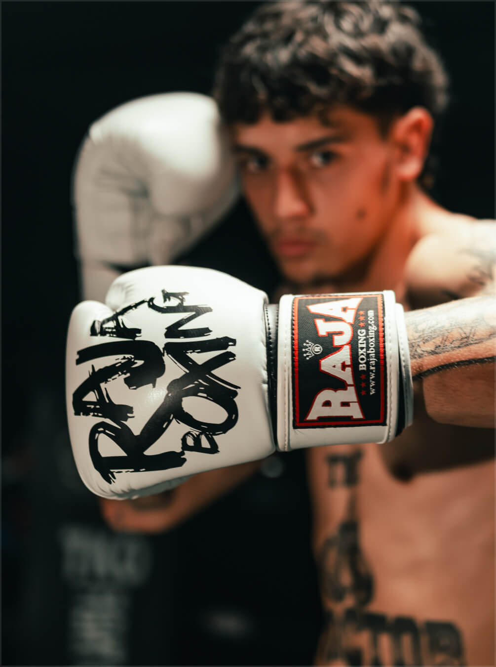 boxer